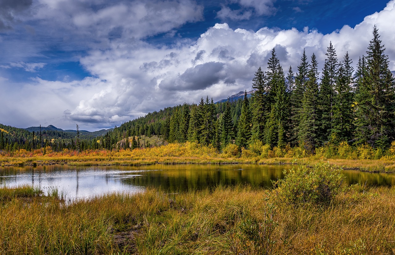 Green Travel Tips for Exploring Canada’s Alberta